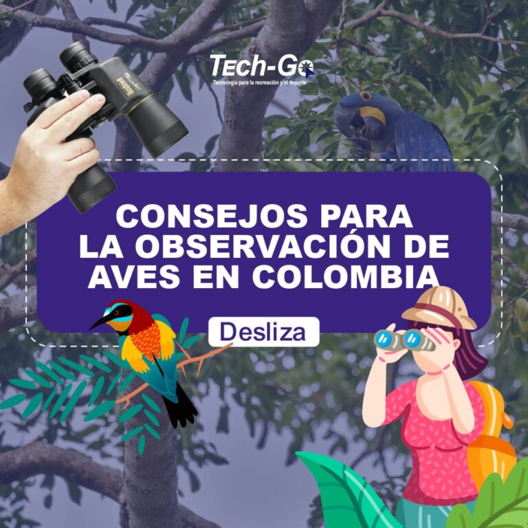 Instagram post from techgo.co. This post is in position 6.