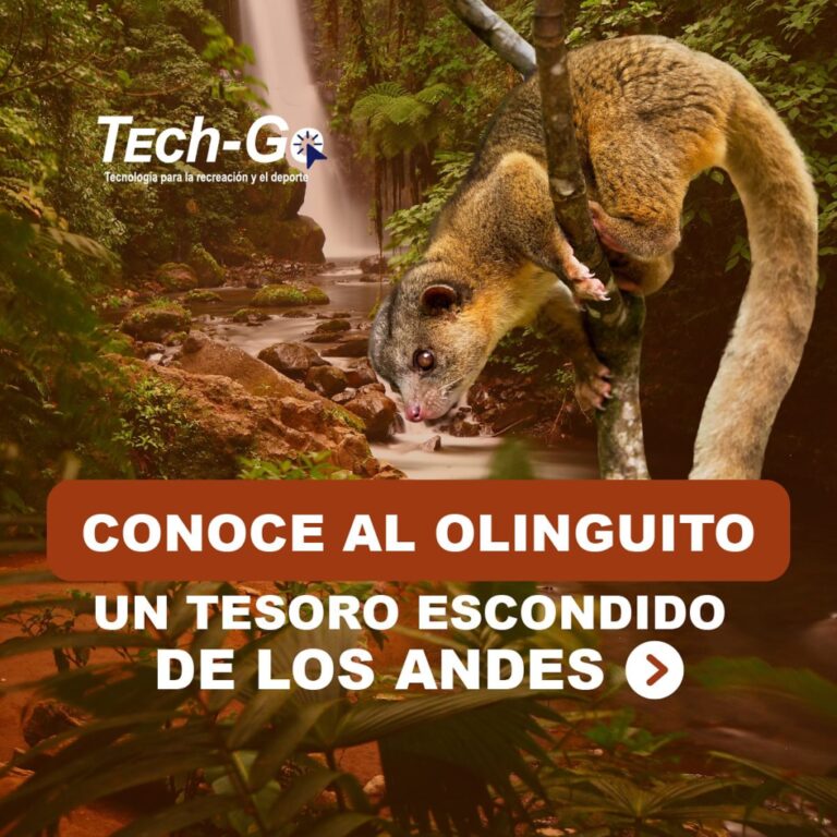 Instagram post from techgo.co. This post is in position 10.